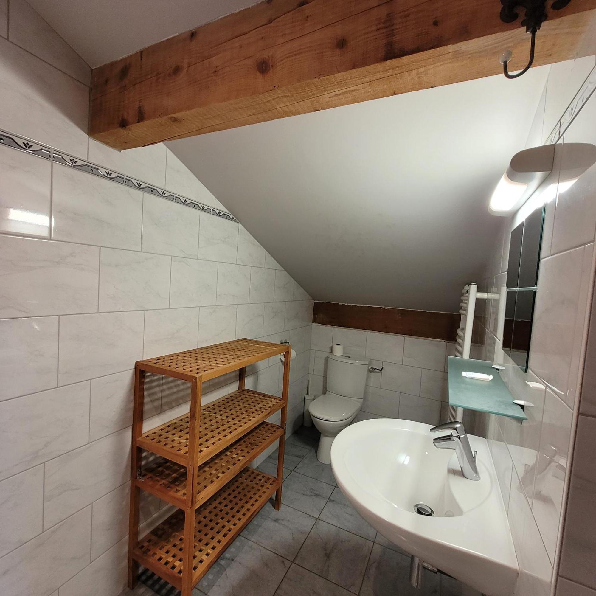 Hotel Du Lac Des Corbeaux 拉布雷斯 外观 照片